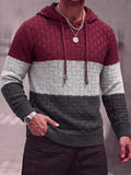 Color Block Textured Knit Hooded Pullover Sweater